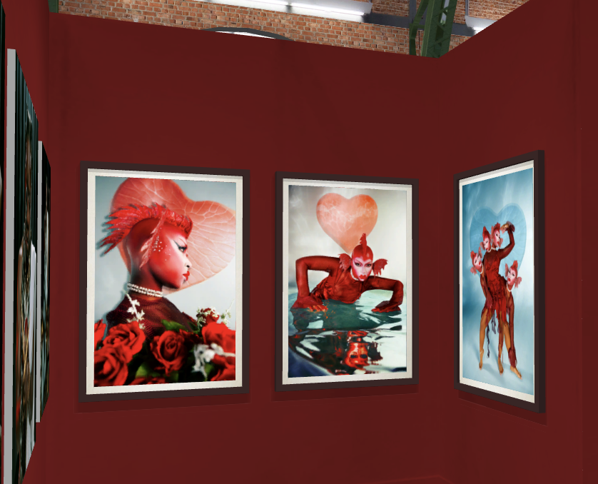 Exhibitions & Collaborations